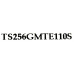 SSD 256 Gb M.2 2280 M Transcend MTE110S TS256GMTE110S 3D TLC