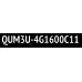 QUMO QUM3U-4G1600C11 DDR3 DIMM 4Gb PC3-12800 CL11