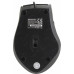 Defender Optical Mouse Accura MM-362 (RTL) USB 4btn+Roll 52362