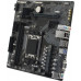 A620M S2H Gigabyte A620M S2H, Socket AM5, AMD A620, 2xDDR5-5200, D-SUB+HDMI+DP, 1xPCI-Ex16, 1xPCI-Ex1, 4xSATA3(RAID 0/1