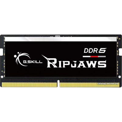 SO-DIMM DDR5 16Gb PC-38400 4800MHz G.Skill Ripjaws (F5-4800S3434A16GX1-RS) CL34-34-34