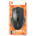 Мышь беспроводная Defender Wireless Optical Mouse Accura MM-665 Black (52665) (ноутбучная мышь для ПК, радио, сенсор оптический 1200 dpi, 6 кнопок, колесо с нажатием, цвет черный)