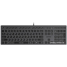 Клавиатура A4Tech Fstyler FX60 (серый/белая подсветка) (стандартная для ПК, ножничная, пластик, интерфейс подключения - 