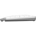 Клавиатура A4Tech Fstyler FK11 White (стандартная для ПК, мембранная, пластик, интерфейс подключения - USB, влагозащита, цвет белый/серый)