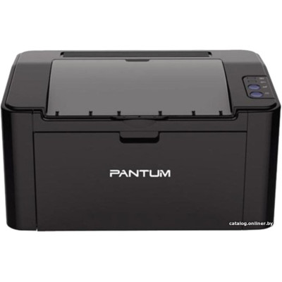 Принтер Pantum P2507 Black (лазерный, черно-белый, формат A4 (210x297 мм), скорость ч/б печати 22 стр/мин, разрешение 1200 dpi)
