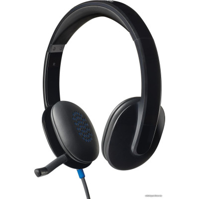 Гарнитура Logitech USB Headset H540 (наушники с микрофоном, накладные)