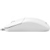 Мышь Acer OMW300 (ZL.MCECC.01V) (полноразмерная мышь, проводная USB Type-A, сенсор оптический 1200 dpi, 3 кнопки, колесо с нажатием, цвет белый )
