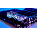 DDR4 32Gb KiTof2 PC-28800 3600MHz G.Skill Trident Z Royal Elite (F4-3600C16D-32GTESC) CL16